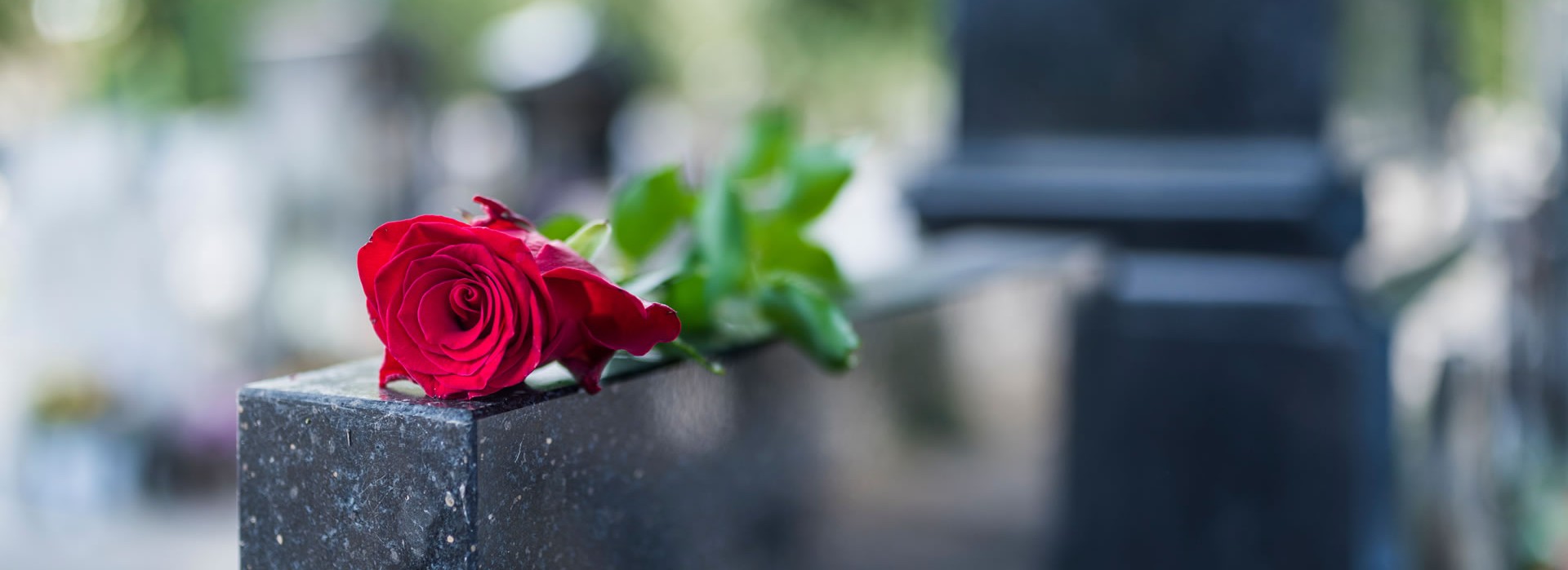 Inhumation et nettoyage tombe Lannemezan
